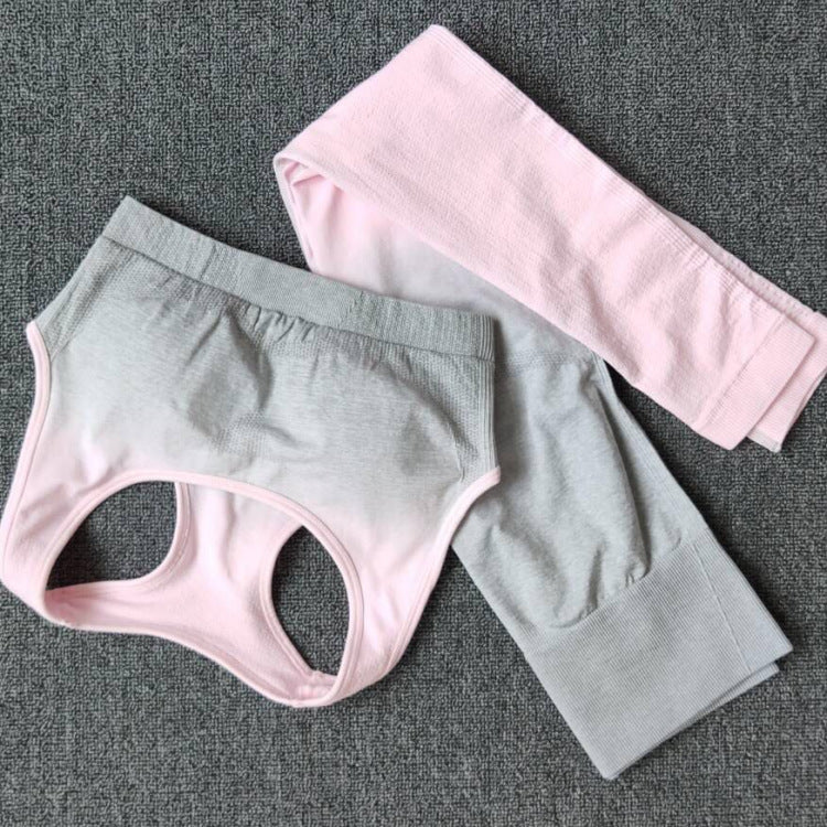 Damen Sportliches Oberteil mit Hochbund und atmungsaktiven Shorts Stalluxe