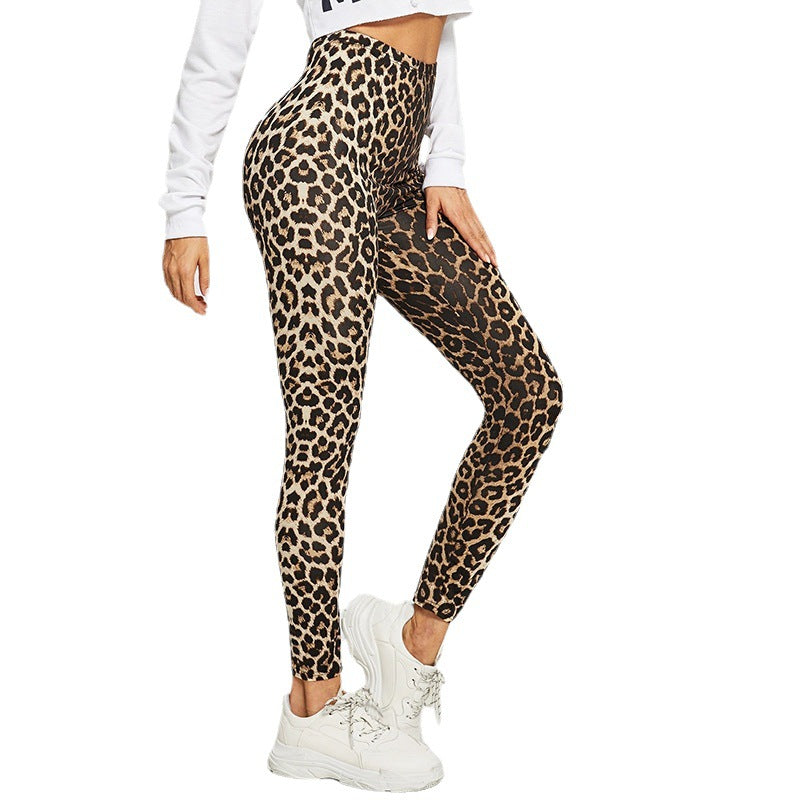 Damen Elegante Leggings im modischen Leopardenmuster Stalluxe
