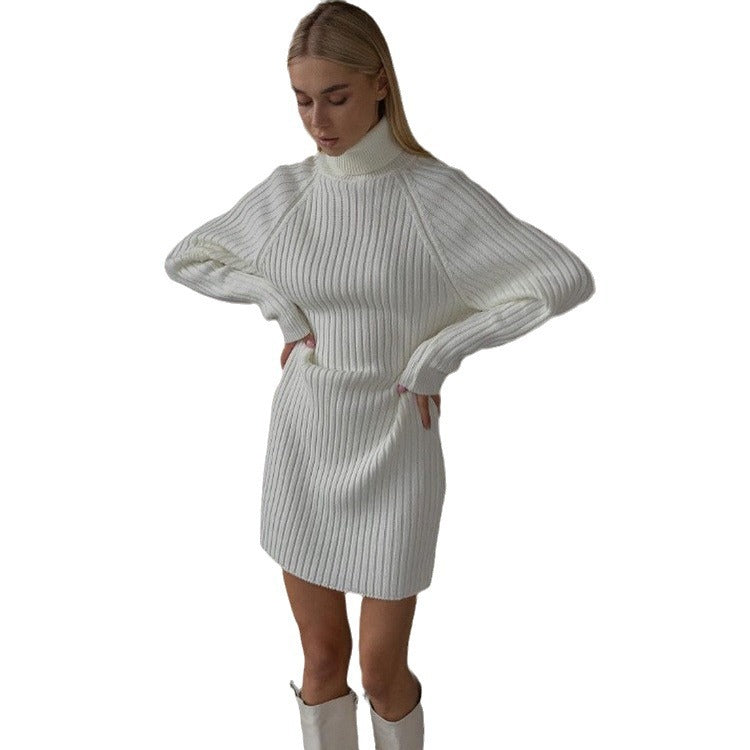 Damen Strickkleid mit hohem Kragen und großen Ärmeln Stalluxe