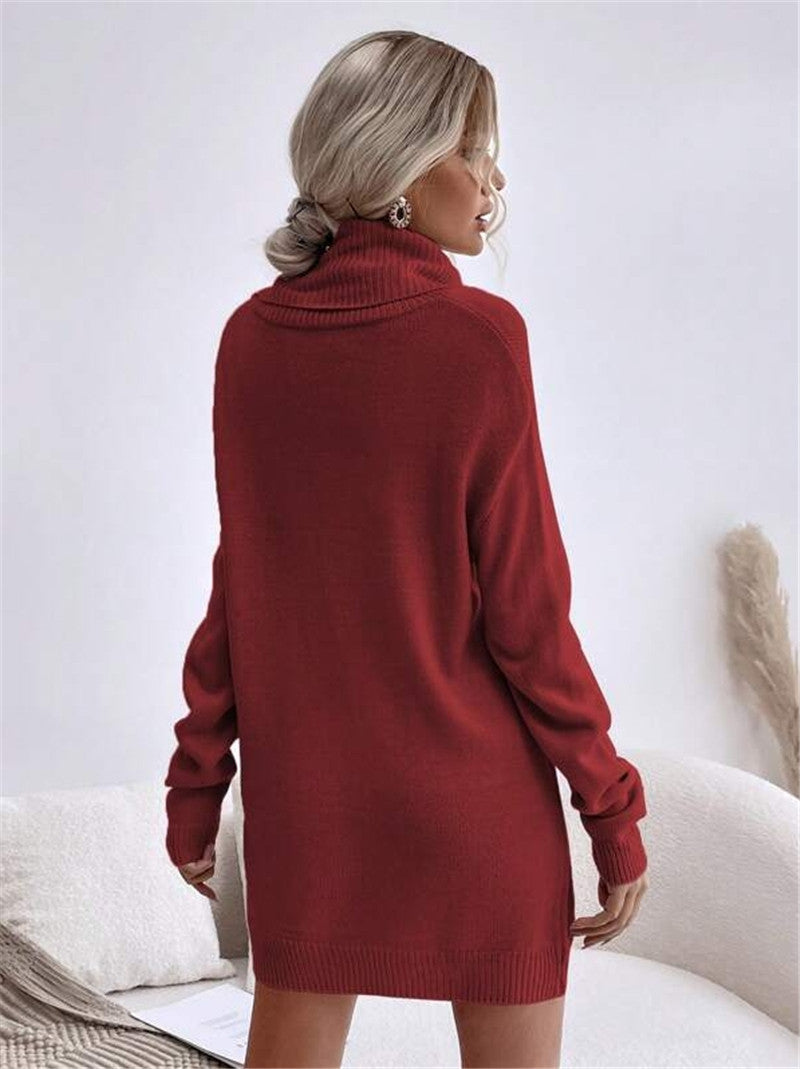 Damen Knitdress mit hohem Kragen und Oversized-Schnitt Stalluxe