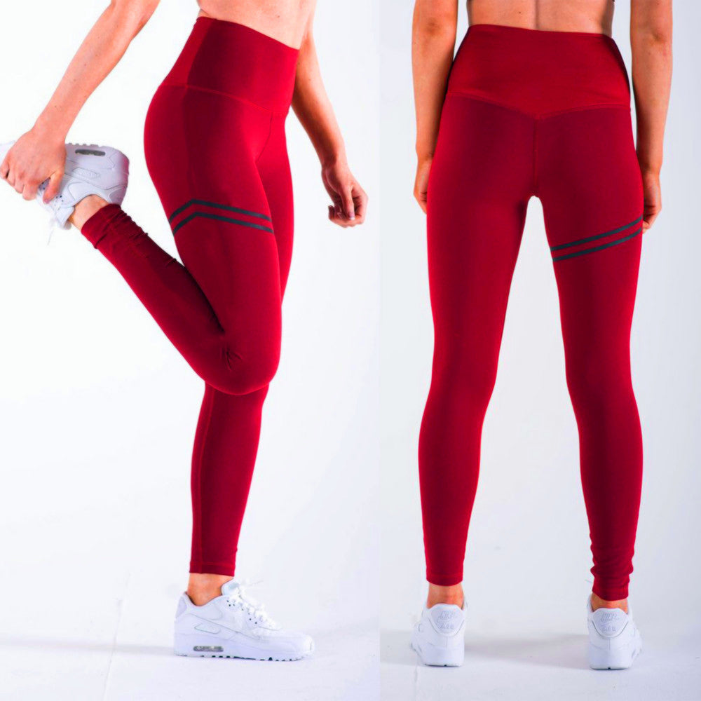 Damen Kompression Leggings Stalluxe