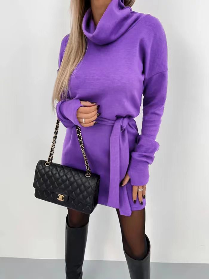 Women's Cozy Cowl Neck Mini Dress Stalluxe