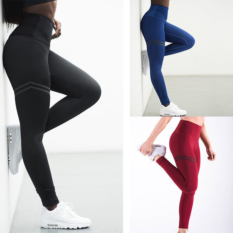 Damen Kompression Leggings Stalluxe