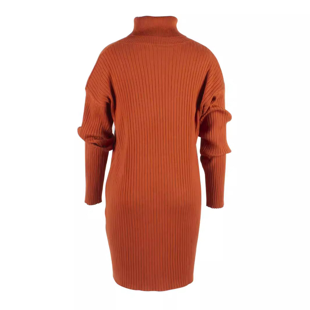 Damen Strickkleid mit hohem Kragen und feinem Rippenmuster Stalluxe