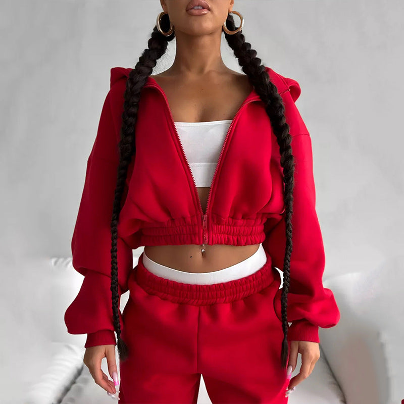 Damen modischer Sweatanzug mit voluminösen Ärmeln und hohem Kragen Stalluxe