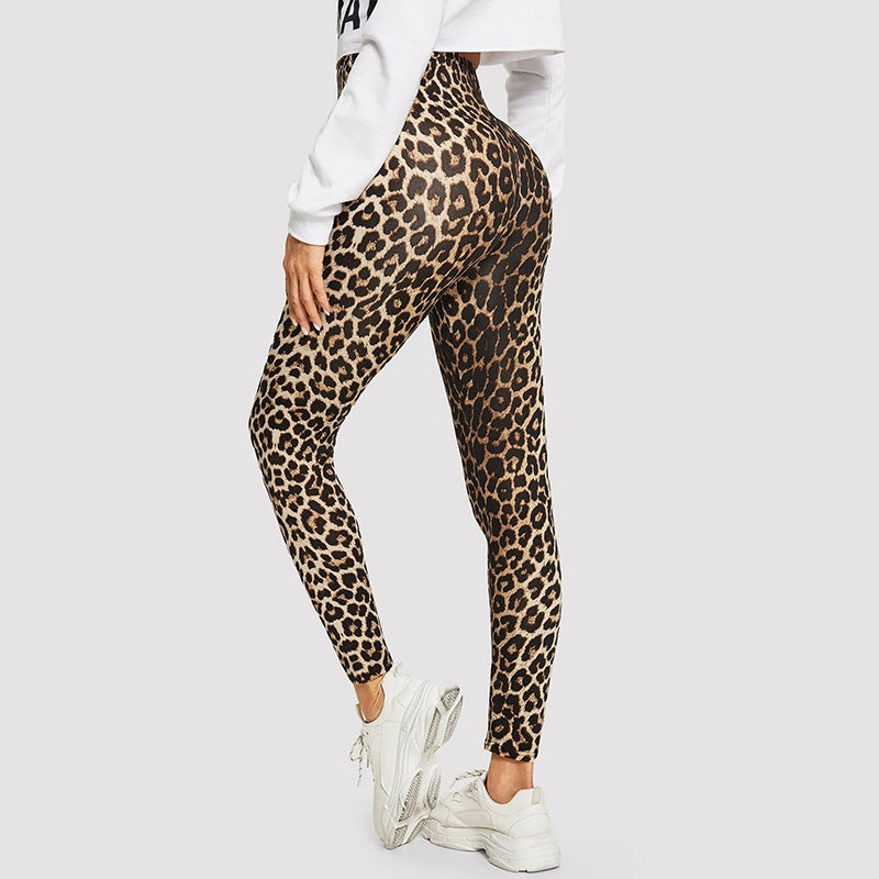 Damen Elegante Leggings im modischen Leopardenmuster Stalluxe