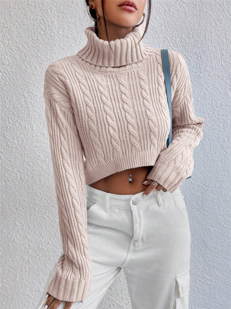 Damen Grobstrick Pullover mit hohem Kragen Stalluxe