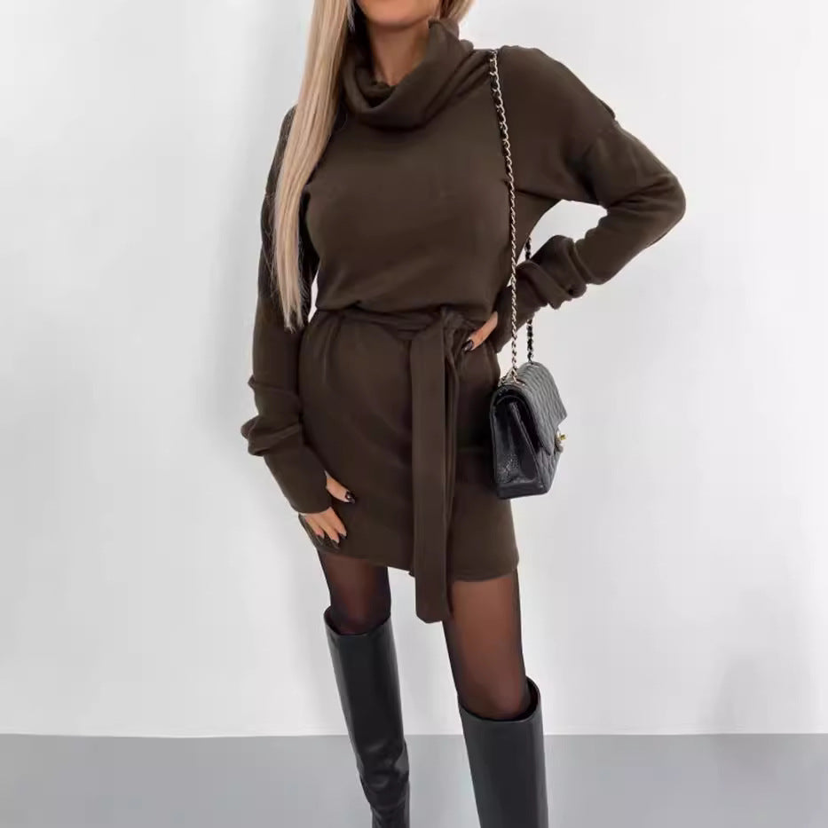 Women's Cozy Cowl Neck Mini Dress Stalluxe