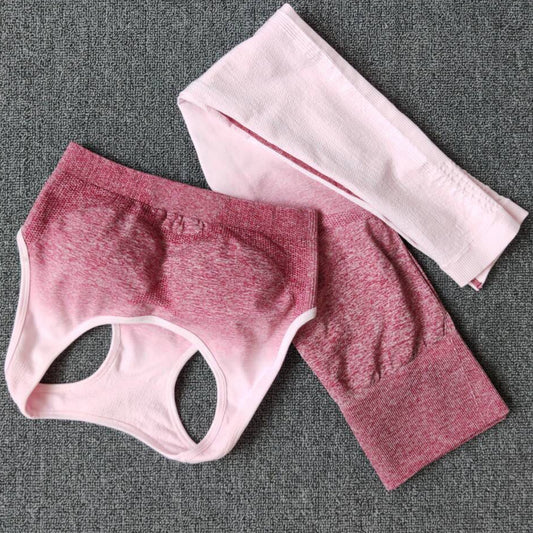 Damen Sportliches Oberteil mit Hochbund und atmungsaktiven Shorts Stalluxe