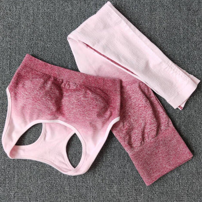 Damen Sportliches Oberteil mit Hochbund und atmungsaktiven Shorts Stalluxe