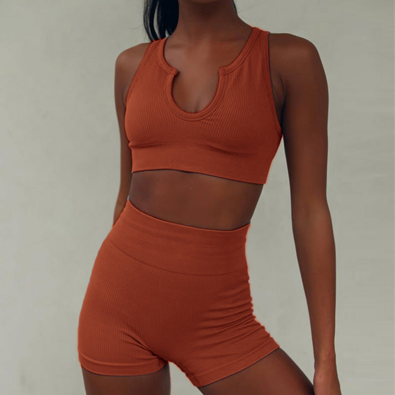 Damen Ripp Sport Crop Top Stalluxe