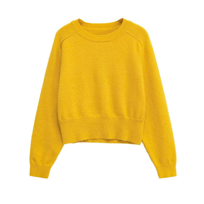 Damen Modischer cropped Pullover aus weichem Strickmaterial Stalluxe