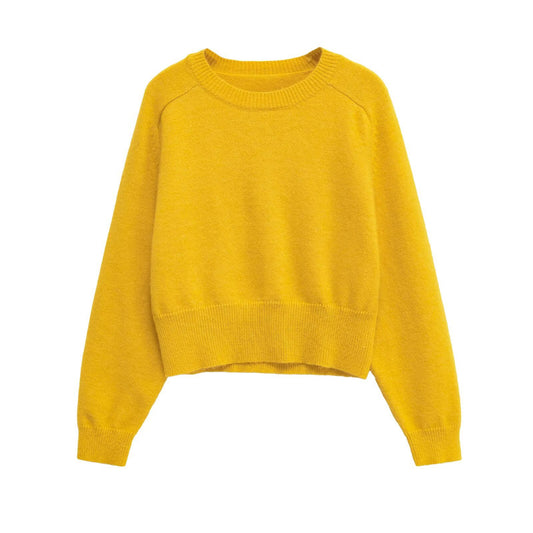 Damen Modischer cropped Pullover aus weichem Strickmaterial Stalluxe